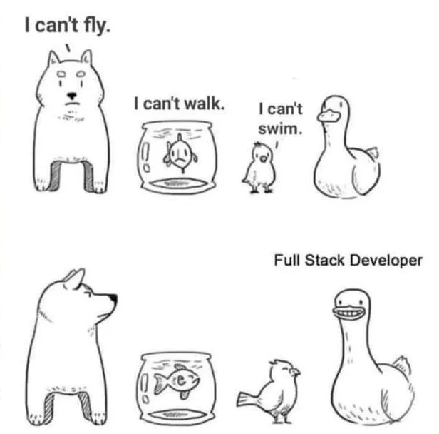 The dog says: "I can't fly." The fish says: "I can't walk." The bird says: "I can't walk". The duck - a full-stack developer smiles.